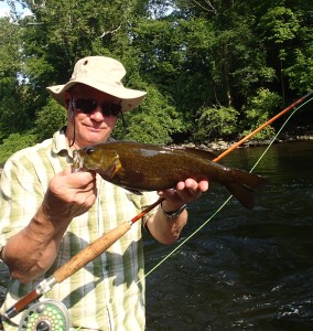 This smallmouth bass took a Muddler Minnow on the Housatonic River in Connecticut. The rod is an 8' Orvis Battenkill.