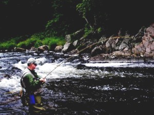 Fighting a big brown trout on the West Branch of the Ausable River near Wilmington. N.Y.  The rod is an 8' Orvis from the 1960s.
