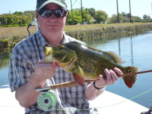 Six-pound Florida peacock bass caught on a 9' Goodwin Granger 9053 Victory, made in the mid 1930s.